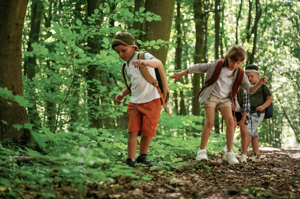 Zielona szkoła Zakopane – spacer po lesie | Górska Akademia Dzieci spacerują po lesie podczas zielonej szkoły w Zakopanem z Górską Akademią