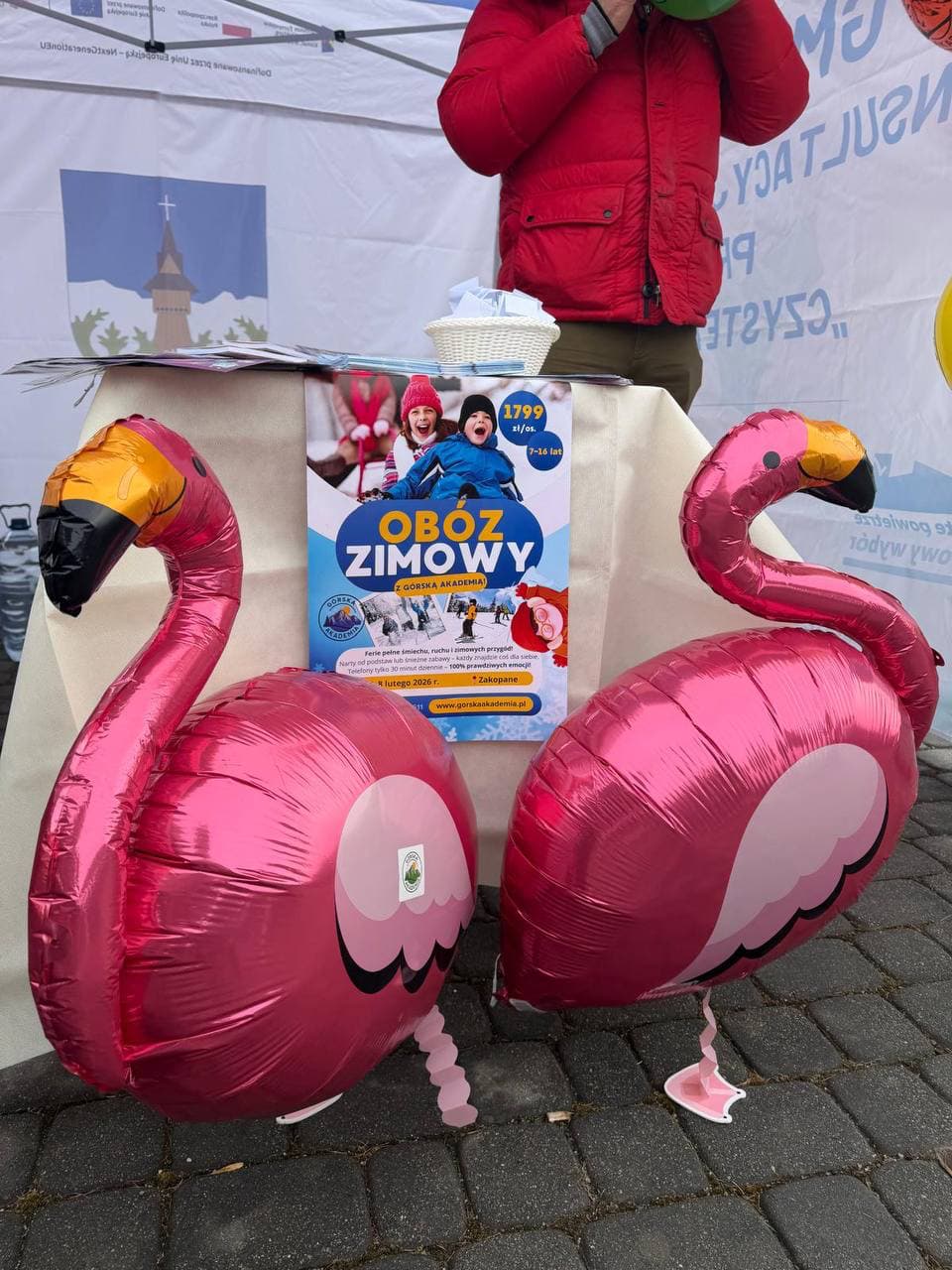 Różowe flamingi Flami przy materiale promującym obóz zimowy Górskiej Akademii